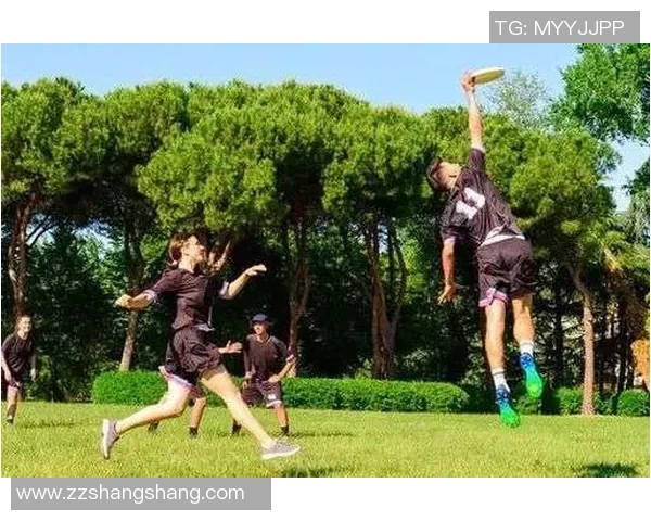 武汉飞盘队的速度变革引发热议助力城市运动新风潮